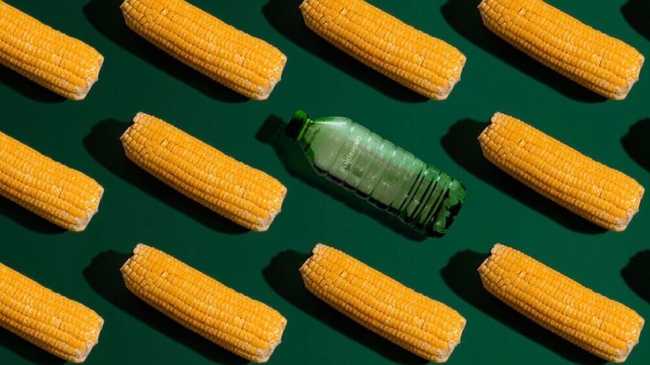 corn and biodegradable water bottle